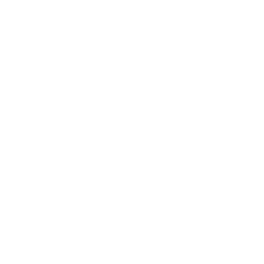 checklist icon