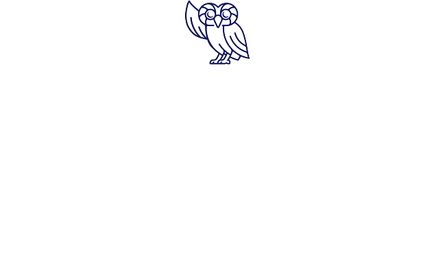 Rice Volunteer VIP logo